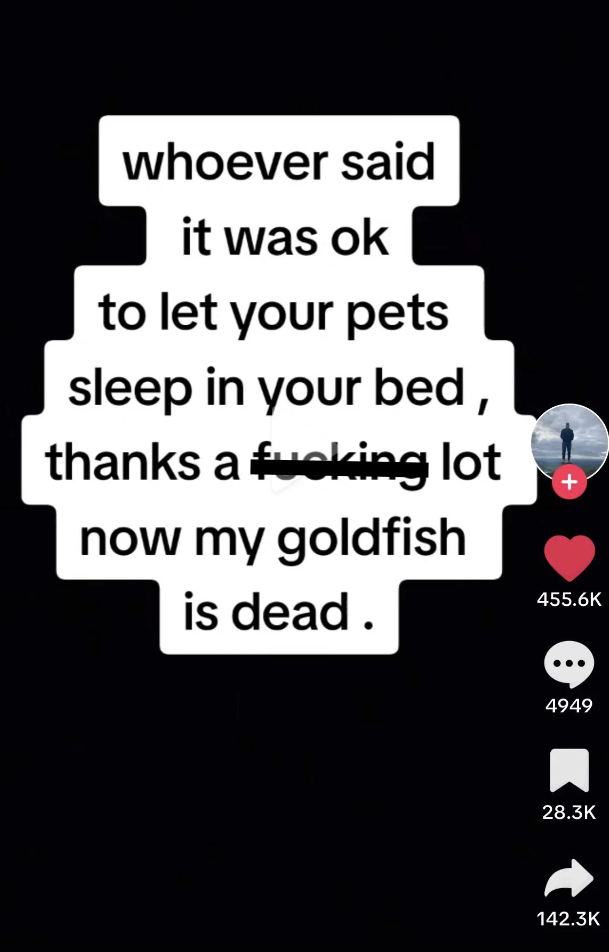 screenshot - whoever said it was ok to let your pets sleep in your bed, thanks a fucking lot now my goldfish is dead. 4949